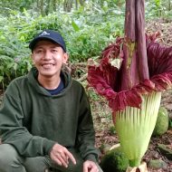 Guy Frankin Amrado Sitorus